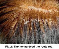 250710101432_Hair-Dying with henna-s.jpg